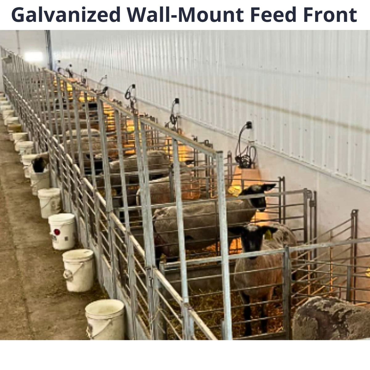 Painted steel is standard. Galvanized finish is available as an option.