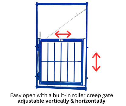 Sheep and goat handling equipment setup designed for safer handling and routine management