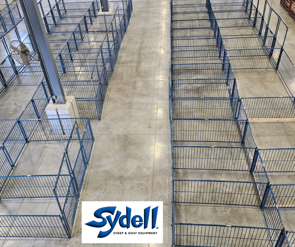 Sheep and goat kidding pen setup designed for safer handling and routine management