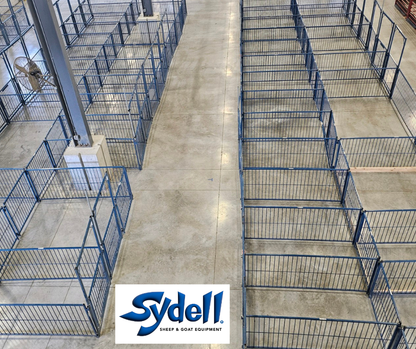 Sheep and goat kidding pen setup designed for safer handling and routine management