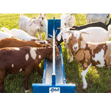 Sydell goat and sheep farm equipment grain feeder with flat bottom trough