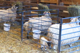 Sydell Goat Sheep Equipment folding freestanding pen 
