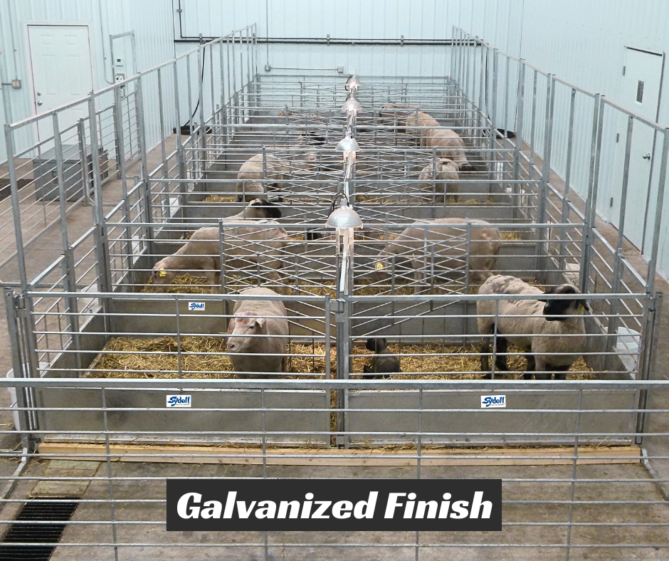 Deluxe Wall Mount Starter Pens sheep and goat kidding pen for livestock handling and animal flow