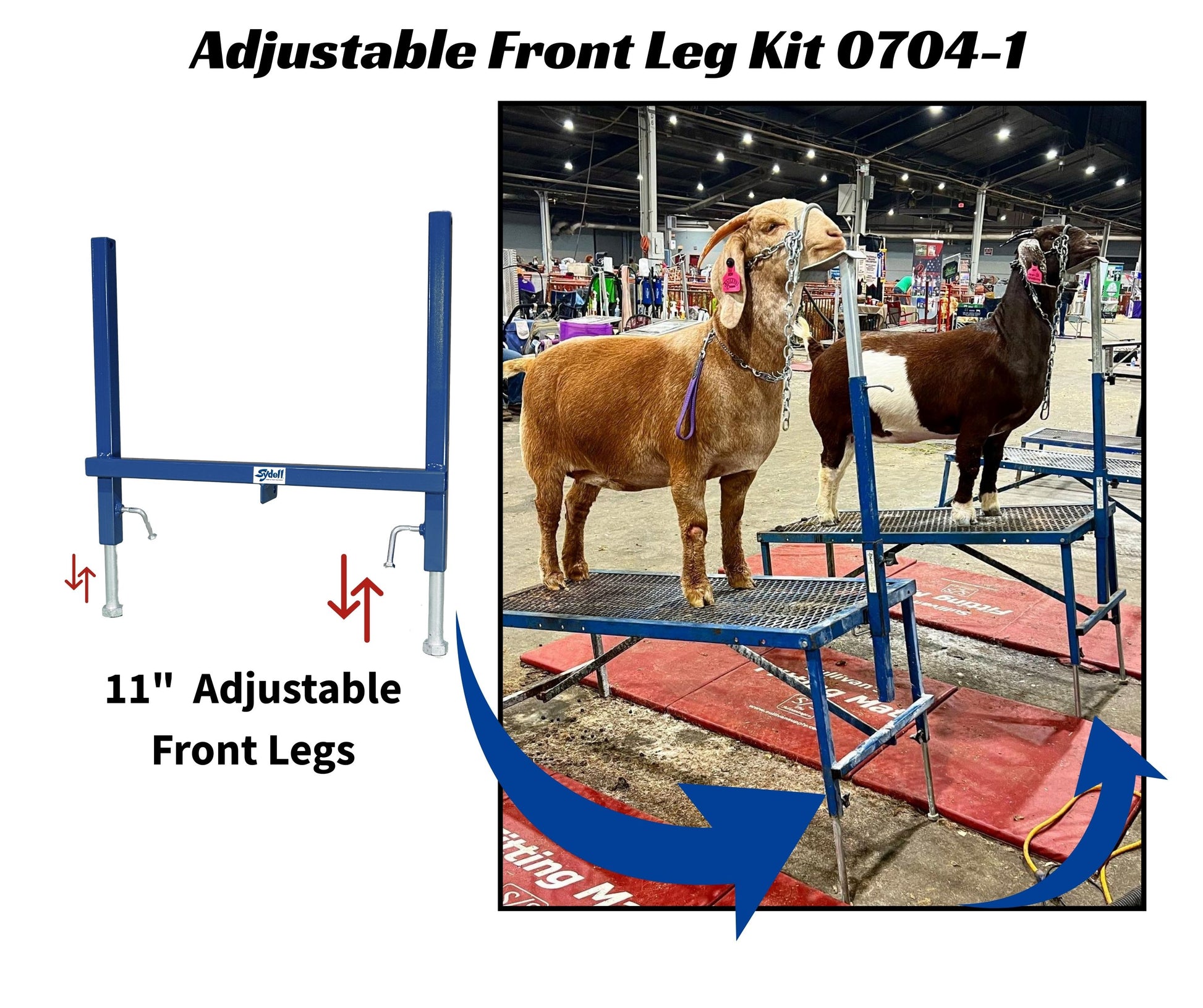 Sydell 11" Adjustable Front Leg Kit for Sheep and Goats – Item # 0704-1 installed in barn layout for efficient sheep and goat handling