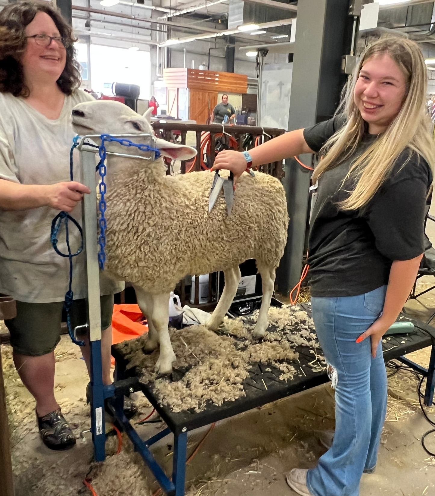 Conditioning stand used for hoof trimming, sorting and controlled livestock movement