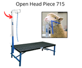 Open Headpiece 715
