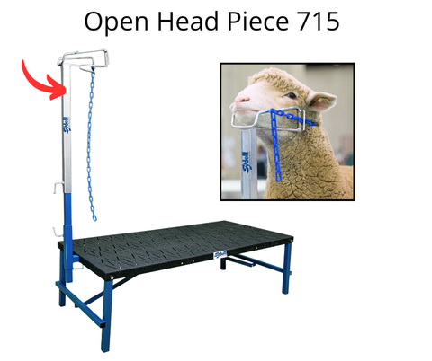Open Headpiece 715
