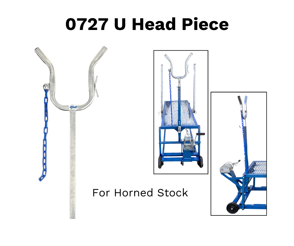 Sheep and goat handling equipment setup designed for safer handling and routine management