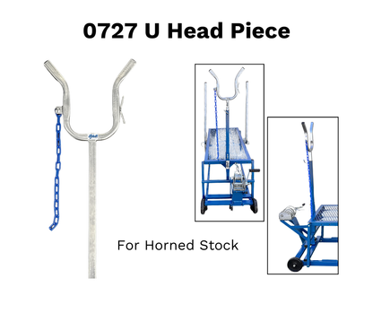 Sheep and goat handling equipment setup designed for safer handling and routine management