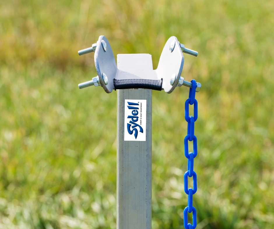 Large Head Piece 0731-L installed in barn layout for efficient sheep and goat handling