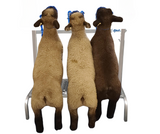 Showman's Best Fold and Go Show Rail (739)