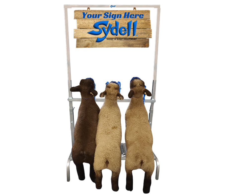 Show and Go Sign Display (739S)