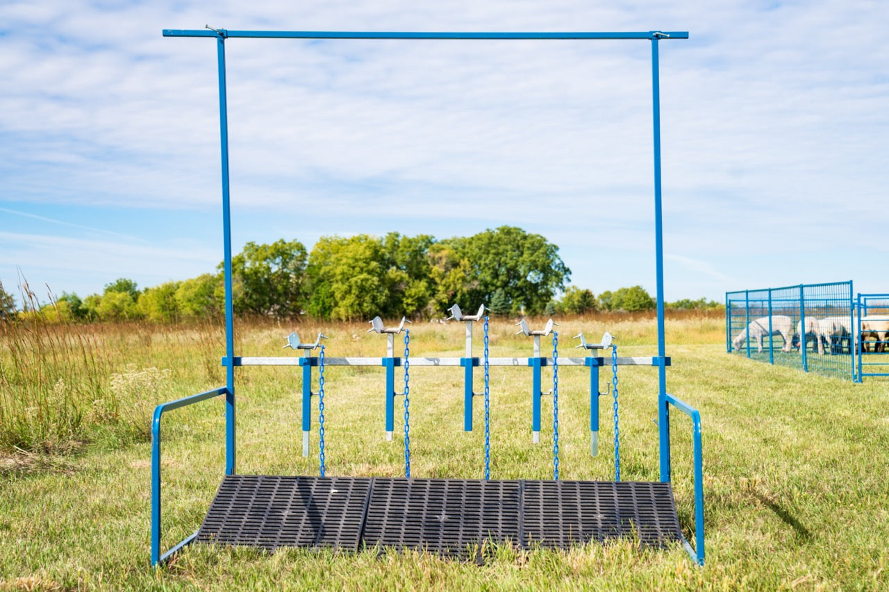 5-Head Show Rail (740-5COMP) installed in barn layout for efficient sheep and goat handling