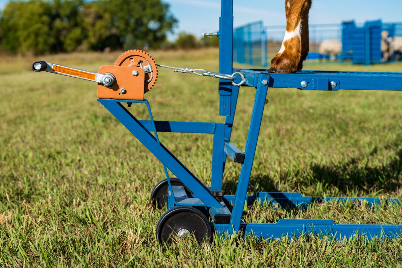 Sydell goat and sheep stand with winch block
