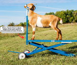 Hydraulic Stand (780)