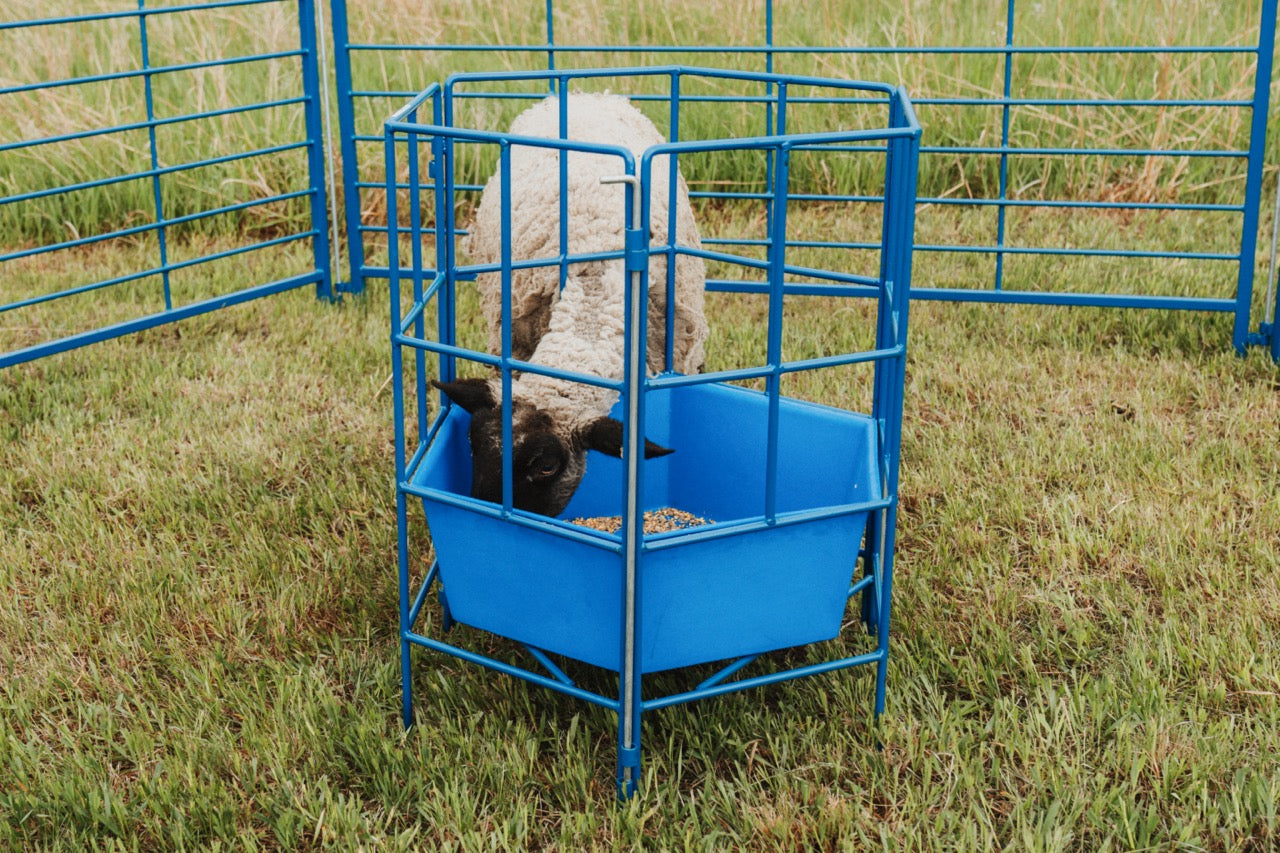 6-Sided Sectional Feeder w/Poly for Sheep & Goats | Sydell