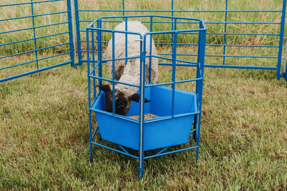 Bale feeder used for hoof trimming, sorting and controlled livestock movement