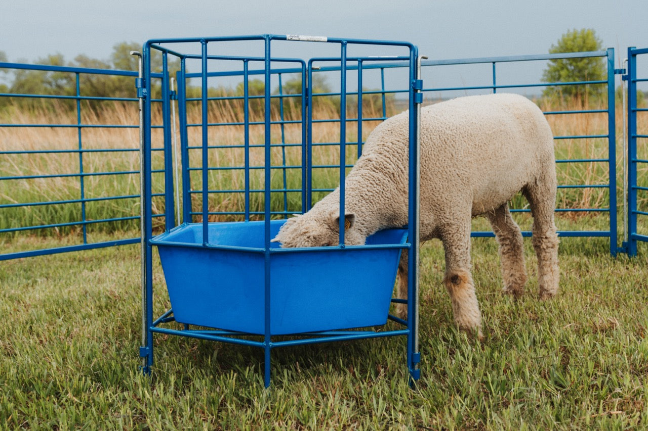 6-Sided Sectional Feeder w/Poly Tub (811) installed in barn layout for efficient sheep and goat handling