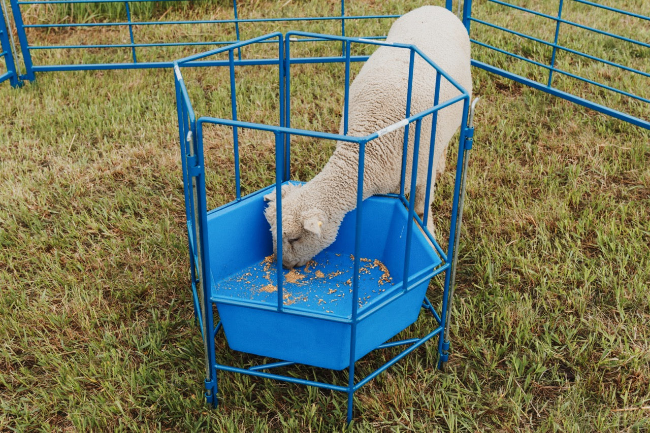 Detail view of hay feeder connection and adjustable components for sheep and goats