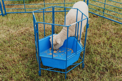 Detail view of hay feeder connection and adjustable components for sheep and goats