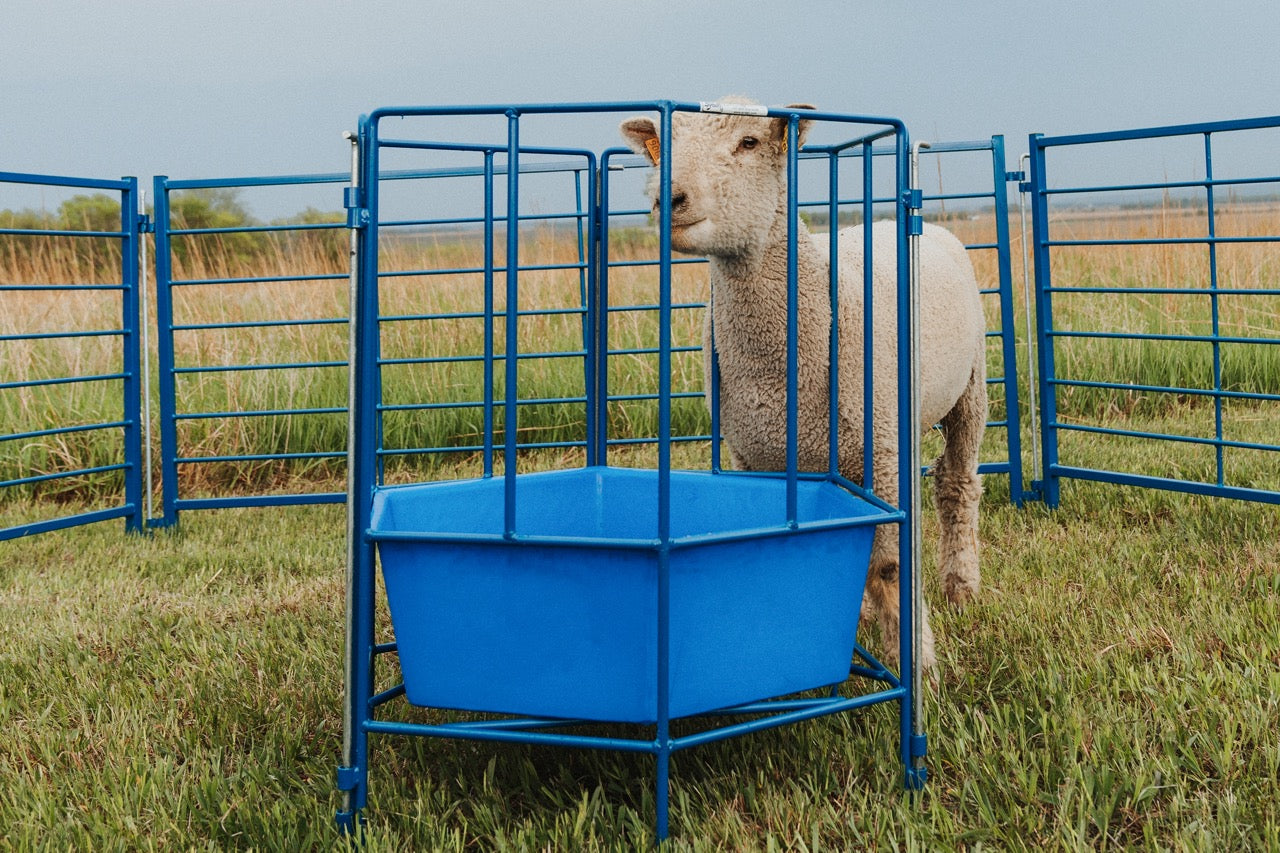 6-Sided Sectional Feeder w/Poly Tub (811) sheep and goat grain feeder for livestock handling and animal flow