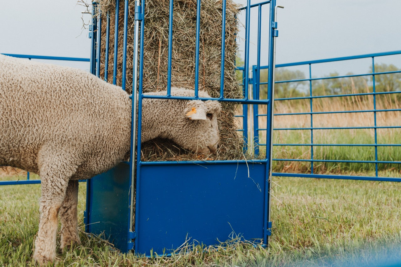 Small Square Bale Feeder (812) installed in barn layout for efficient sheep and goat handling