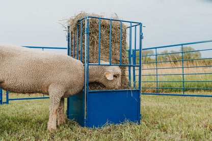 Detail view of hay feeder connection and adjustable components for sheep and goats
