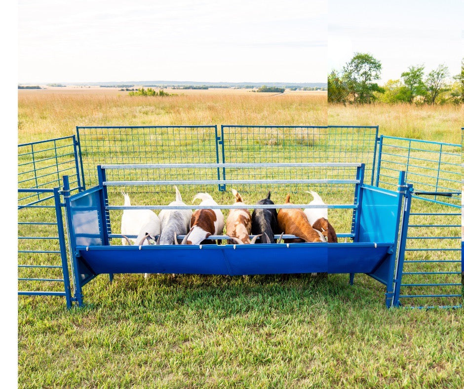 Starter Horizonal Fenceline Feeders (815HP/817HP) sheep and goat grain feeder for livestock handling and animal flow