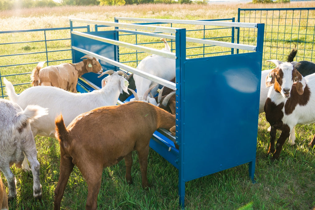 Brush, Dual Fiber for Horses, Cattle, Goats, Sheep and Pigs – UltraCruz®