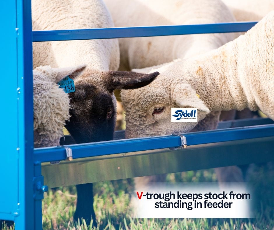 Trough Grain Feeder, V Shaped Trough, Bunk Feeder (0852V 7' & 0852V-4 4' ) installed in barn layout for efficient sheep and goat handling
