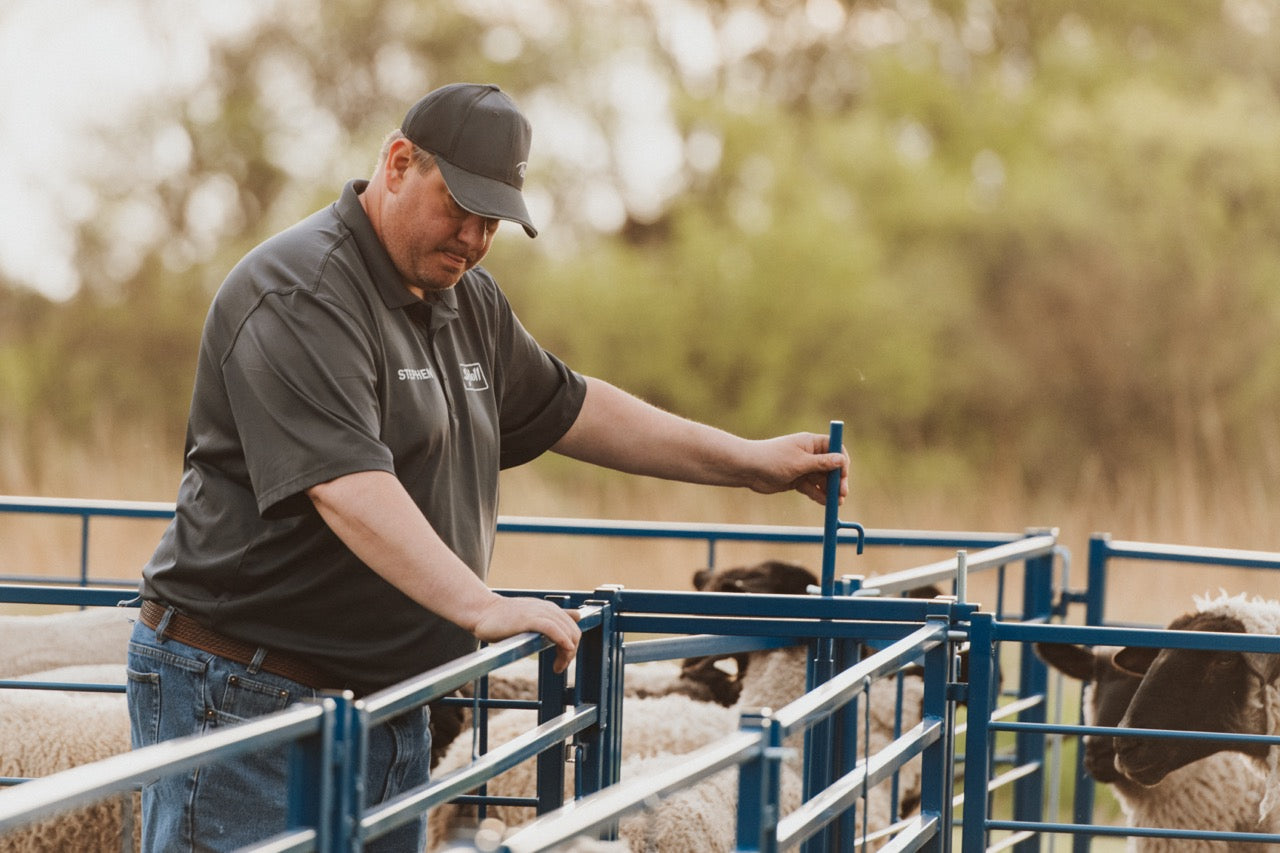 Sydell two-way sorting gate with a slide gate for sorting and herding sheep and goats on the farm livestock herding handling
