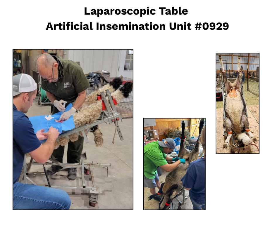 Panel system used for hoof trimming, sorting and controlled livestock movement