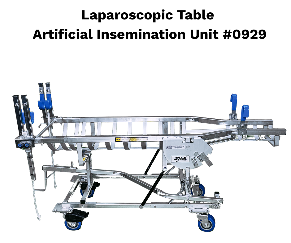 Sheep & Goat Laparoscopic AI Table | Artificial Insemination & Embryo ...