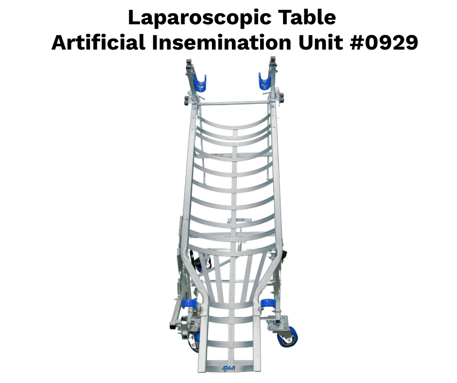 Sheep & Goat Laparoscopic AI Table | Artificial Insemination & Embryo ...