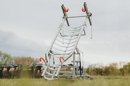 Sydell Laparoscopic table for artificial insemination for goat and sheep fertilization