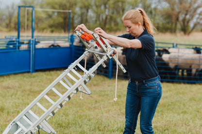 Sydell Laparoscopic table for artificial insemination for goat and sheep fertilization