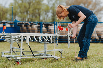 Sydell Laparoscopic table for artificial insemination for goat and sheep fertilization