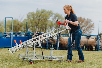 Sydell Laparoscopic table for artificial insemination for goat and sheep fertilization