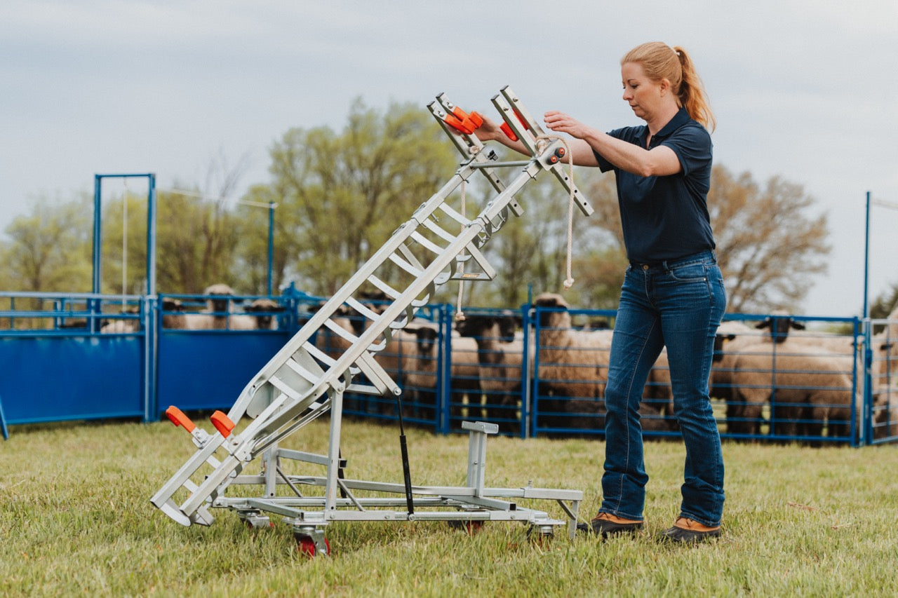 Sydell Laparoscopic table for artificial insemination for goat and sheep fertilization