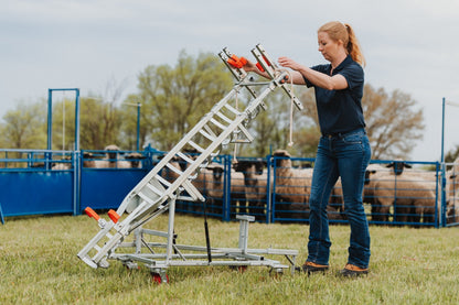 Sydell Laparoscopic table for artificial insemination for goat and sheep fertilization