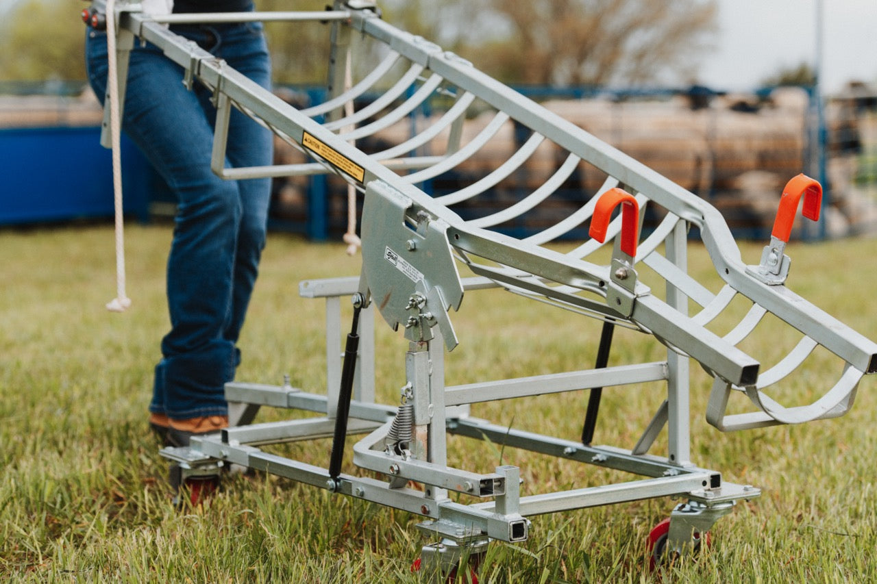 Sydell Laparoscopic table for artificial insemination for goat and sheep fertilization