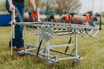 Sydell Laparoscopic table for artificial insemination for goat and sheep fertilization