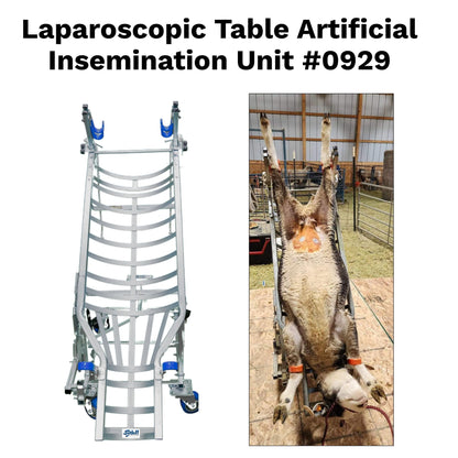 Sydell 0929 Laparoscopic AI & Embryo Transfer Table