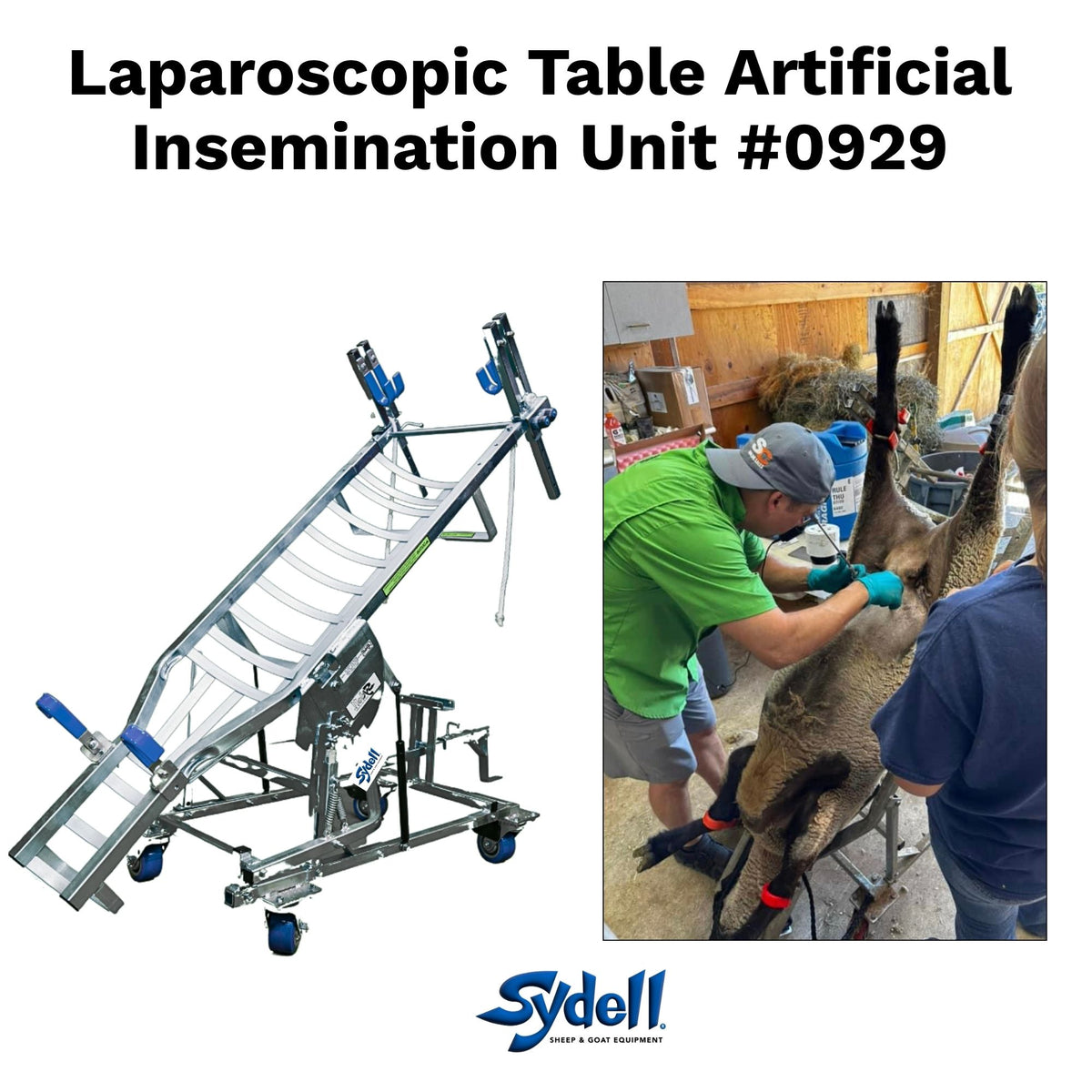 Sydell 0929 Laparoscopic AI & Embryo Transfer Table