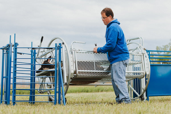 Sydell spin doctor head gate access for goats and sheep