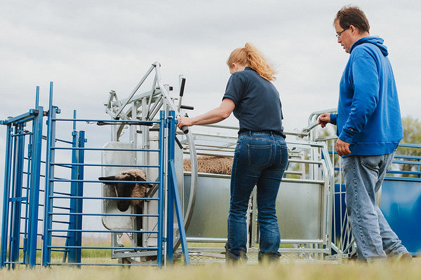Sydell spin doctor head gate access for goats and sheep