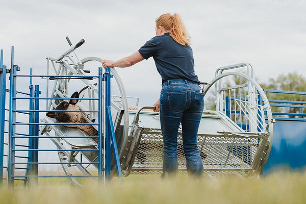 Sydell spin doctor head gate access for goats and sheep