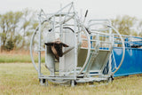 Sydell complete working system E for goat and sheep corral