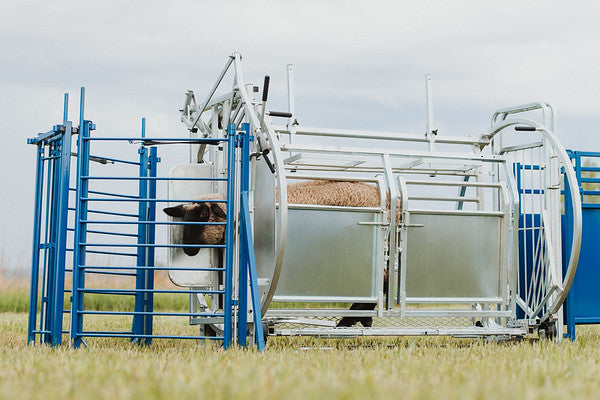 Sydell spin doctor head gate access for goats and sheep