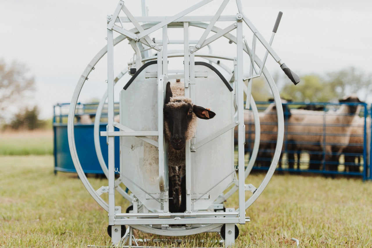 Sydell Deluxe Spin Doctor for tilting goats and sheep for hoof trimming sheep and goat equipment